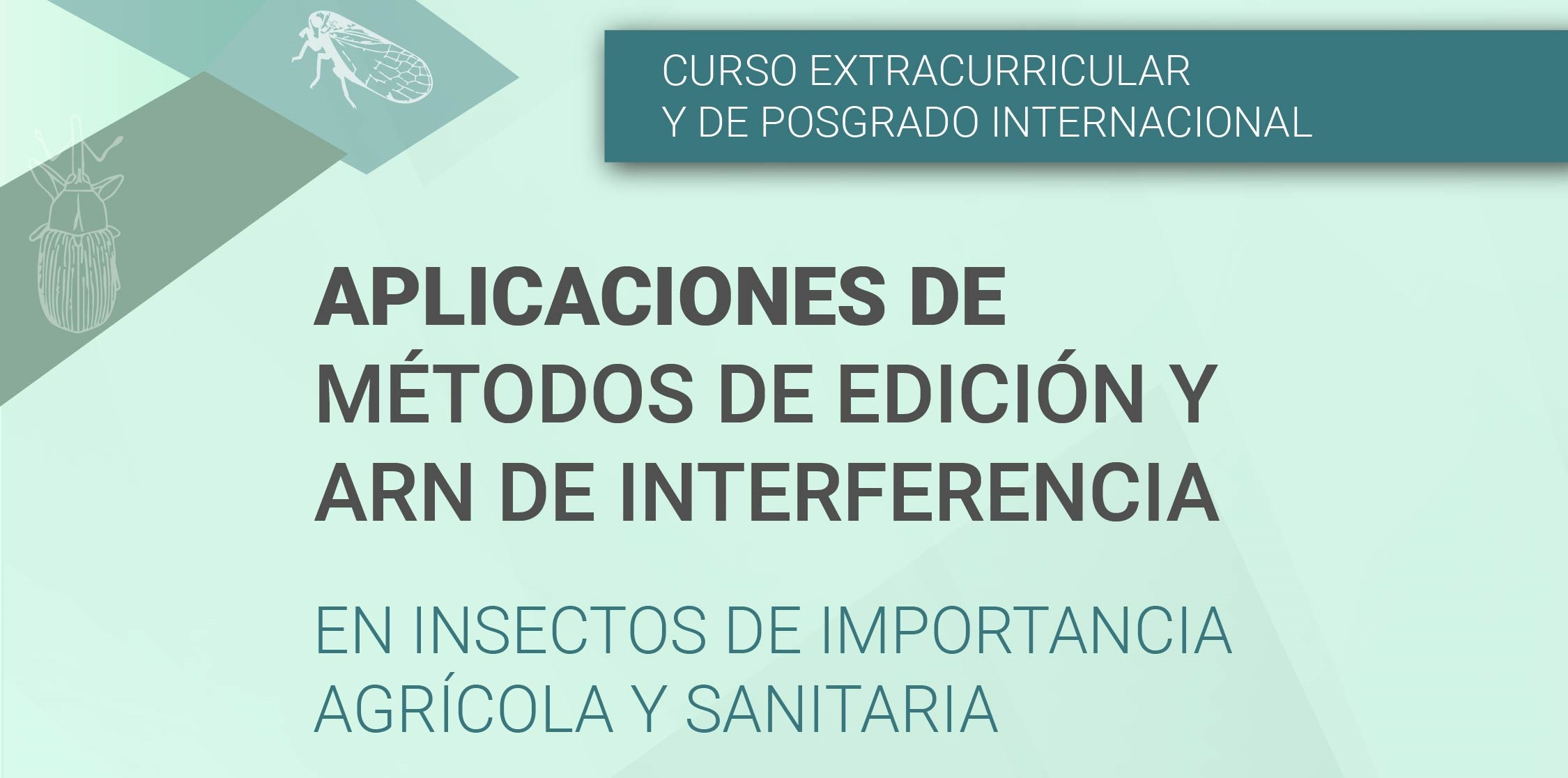 ARN   Jornada Cientfica Y Posgrado WEB