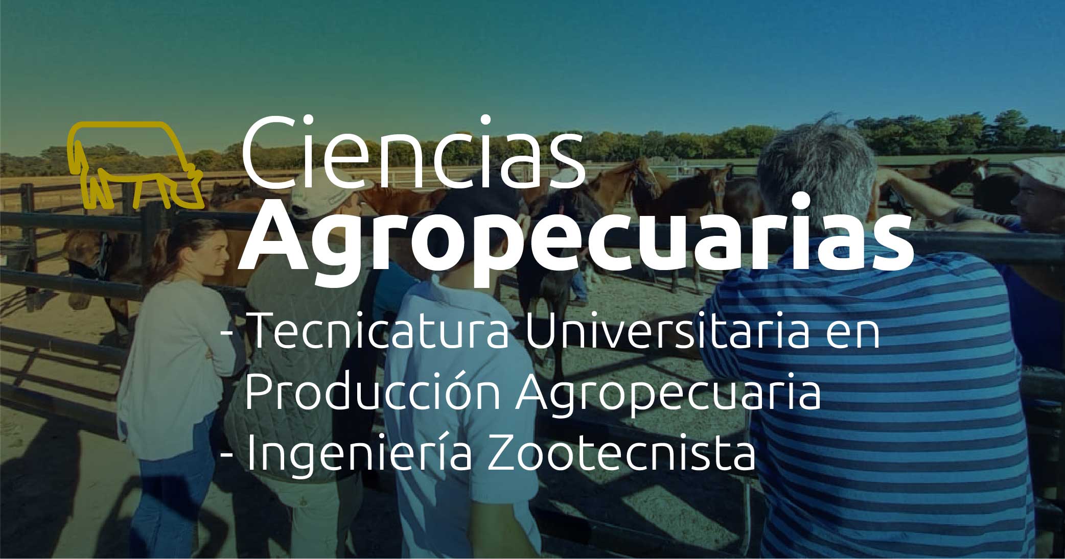 B CS AGRO