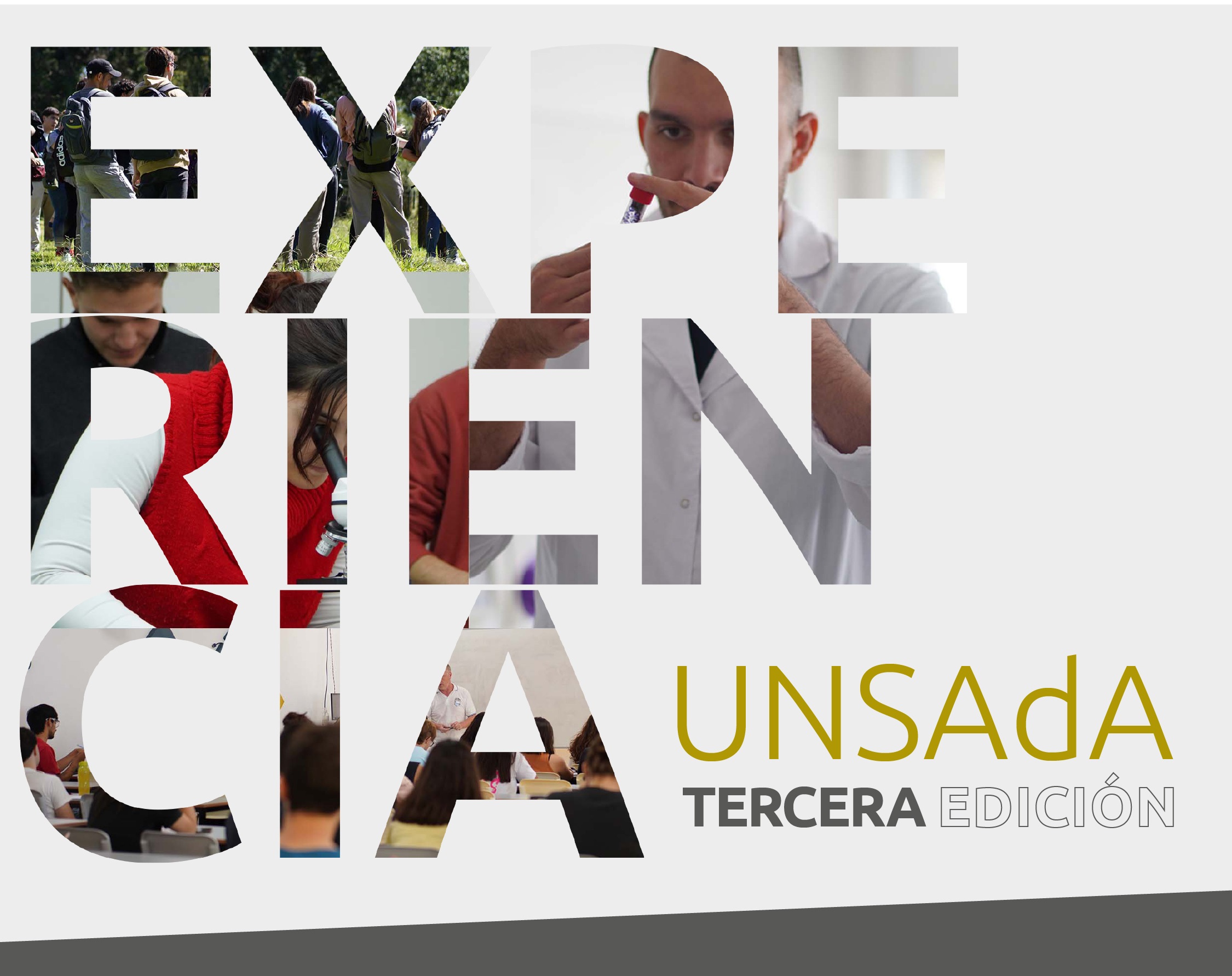 Experiencia UNSAdA Web