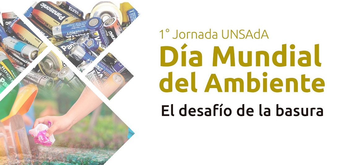 WEBS Dia Ambiente Unsada2019