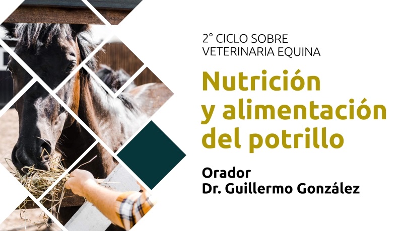 Equina1 Web 2019