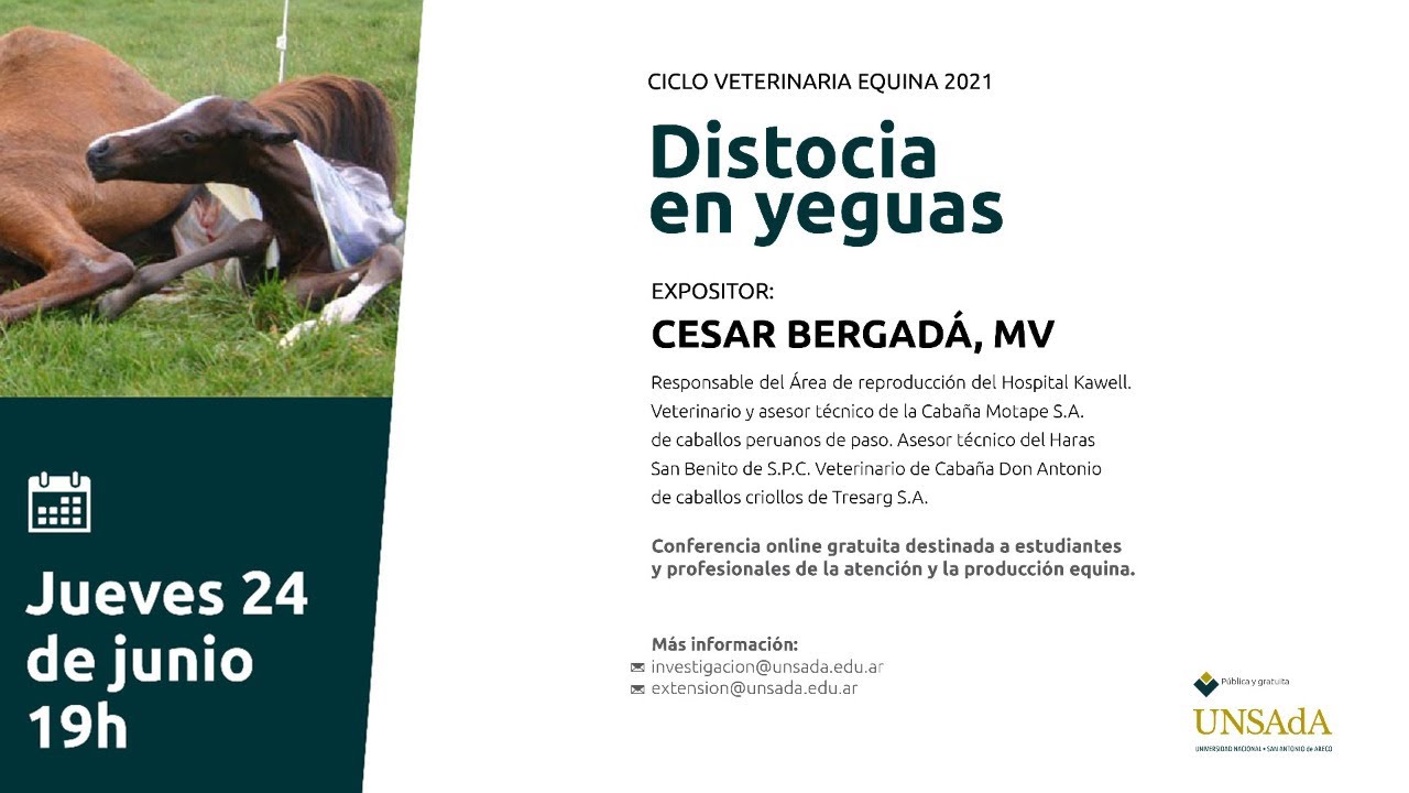 Equina2021 1 Web