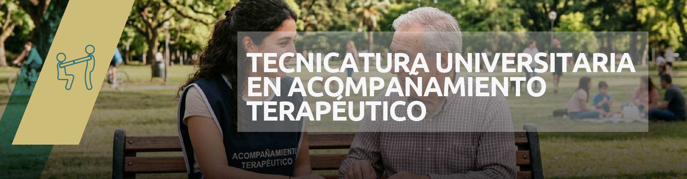 Web 14